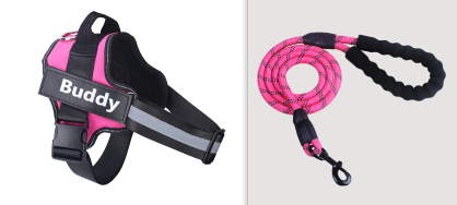 Fashion Simple Pet Leash Chest Strap Set (Option: Pink-S)